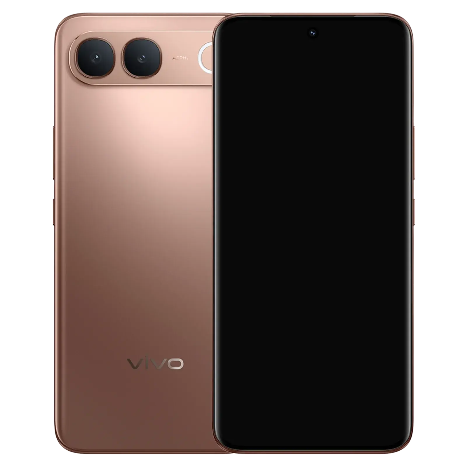 vivo S2 Regal Bronze